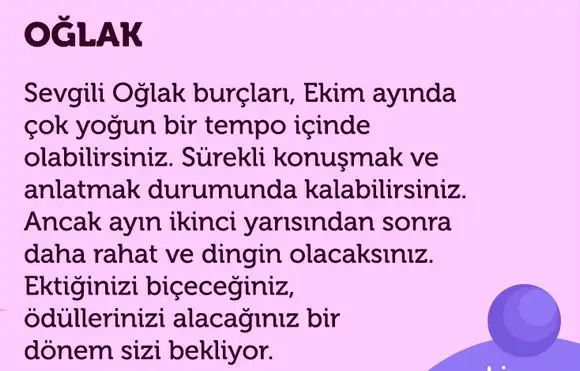 e1 (10).webp