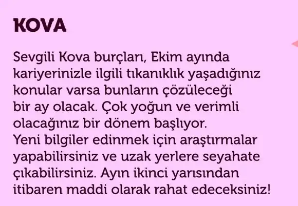 e1 (11).webp