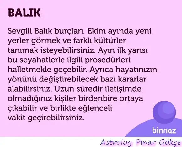 e1 (12).webp