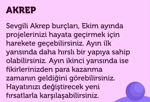e1 (8).webp