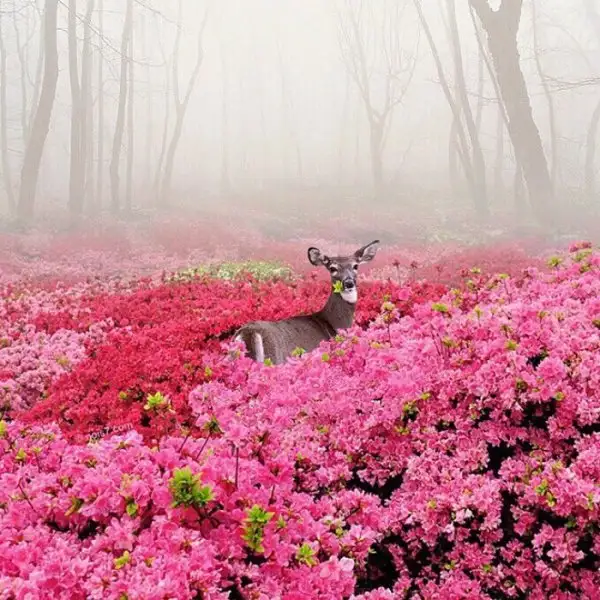 e16971f7edd8459d9cb5c1289d6ca71d.jpg.700x0_q85_autocrop_crop-smart_upscale.webp
