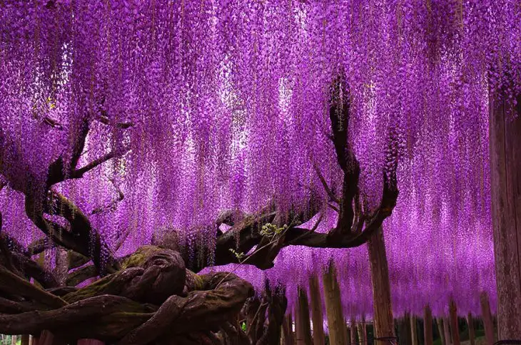 e352c85576.webp