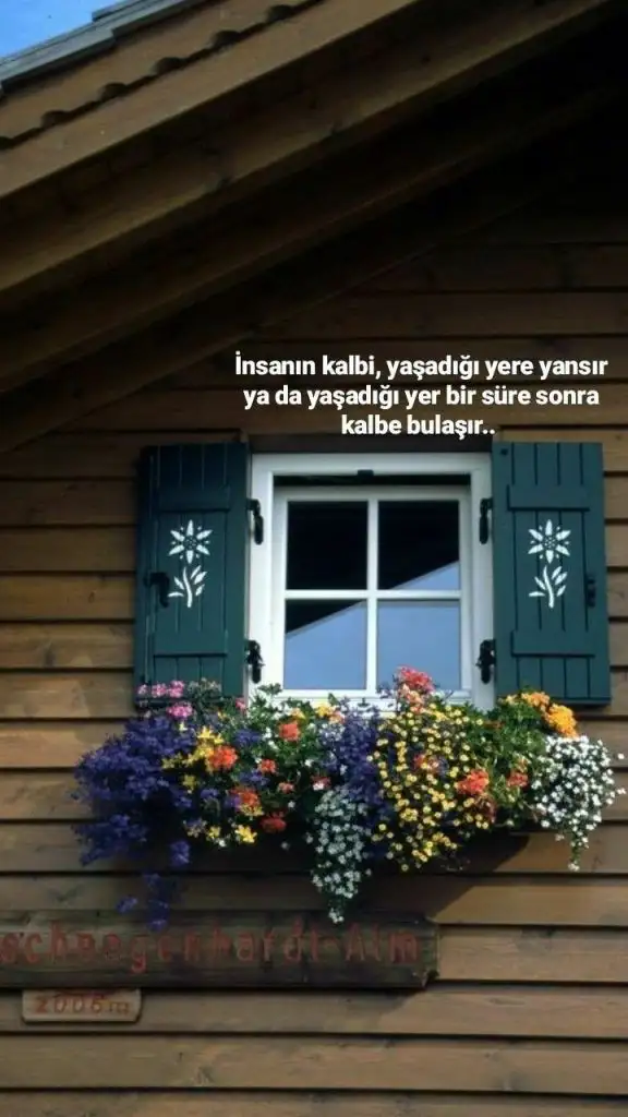 e3d0bc823b36184bb9e450c01cb13c3e.webp