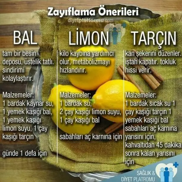 e40bbab9b1d9386a6213018b1d0456e3.webp