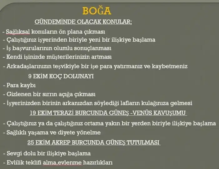 e5 (3).webp