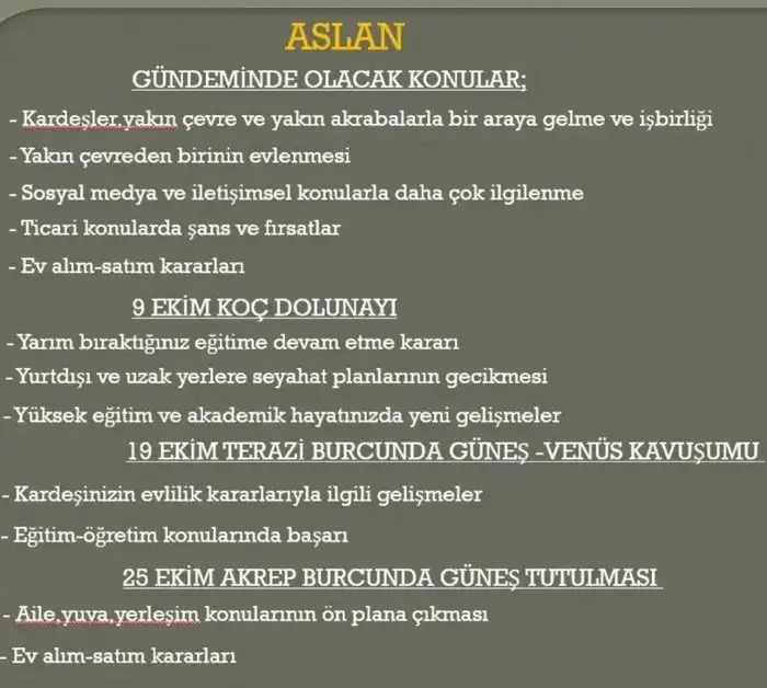 e5 (6).webp