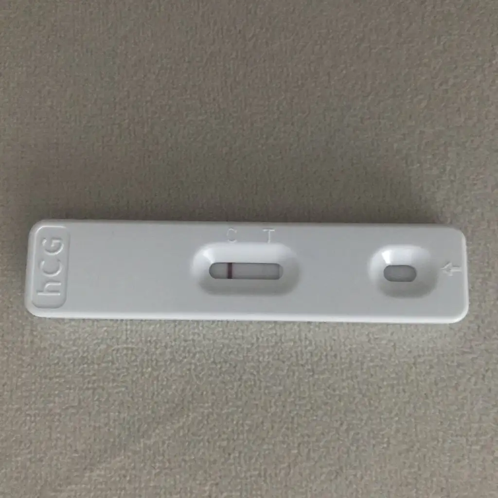 E537471D-2658-474D-808E-600839C191EB.webp