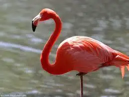 e53875ad71157f6b7c38047946243b35.webp