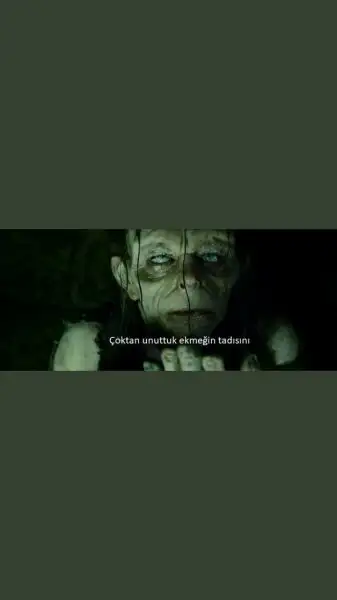 E5F9A1FE-1CCA-4318-9602-8B38B27C45D5.webp