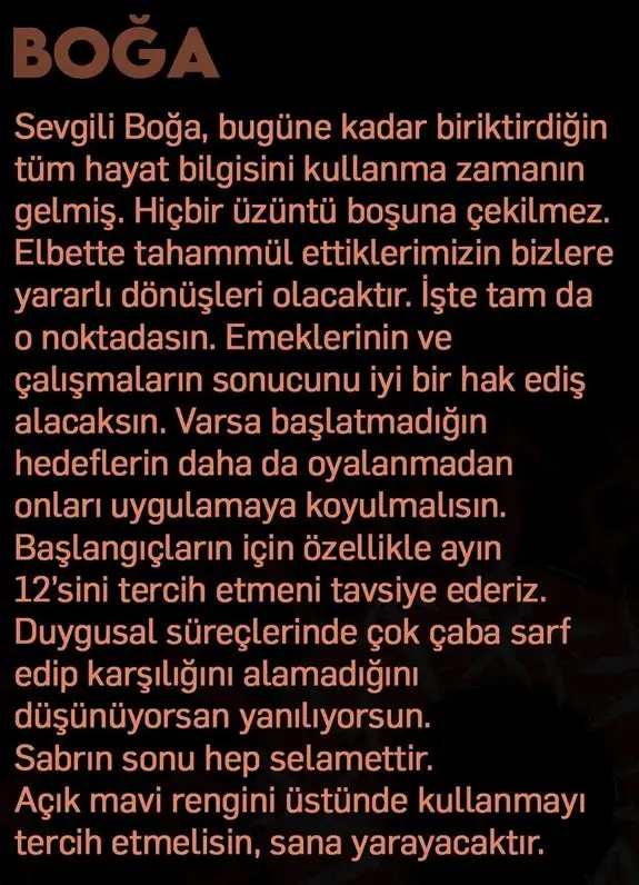 e7 (3).webp