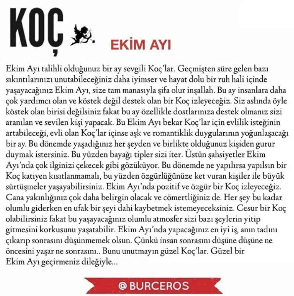 e8 (1).webp