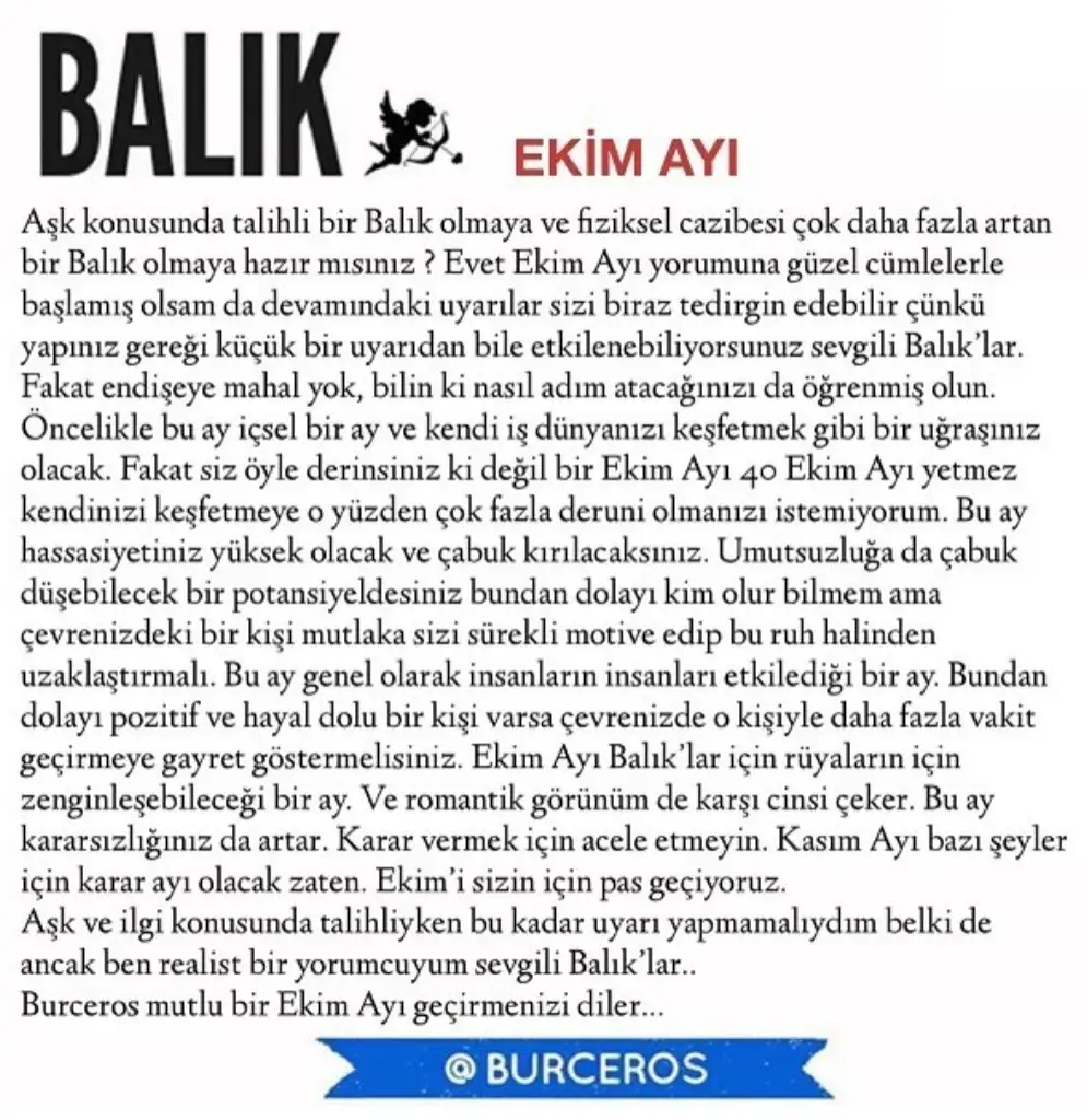 e8 (12).webp