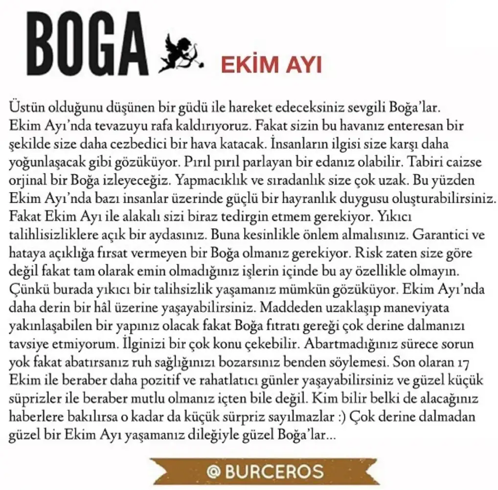 e8 (2).webp
