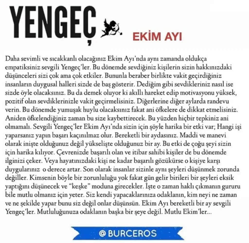 e8 (4).webp