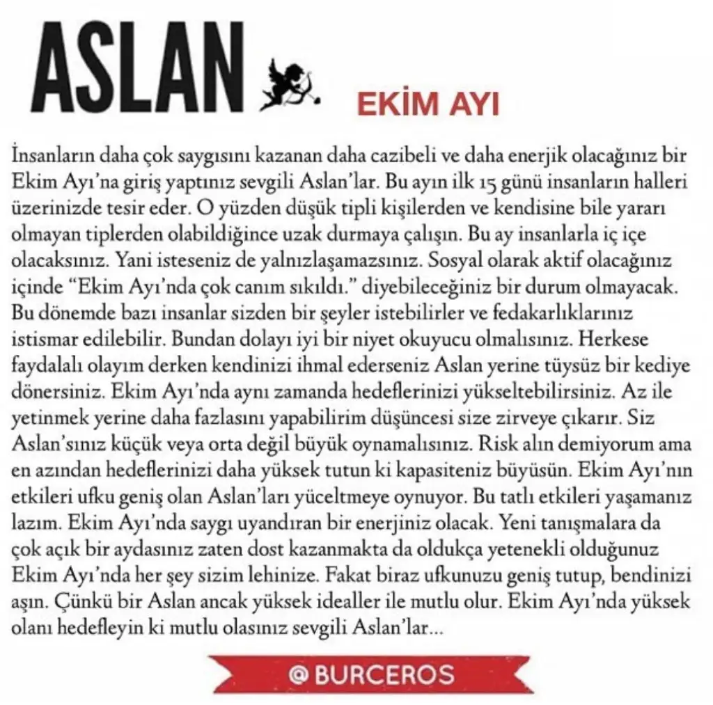 e8 (5).webp