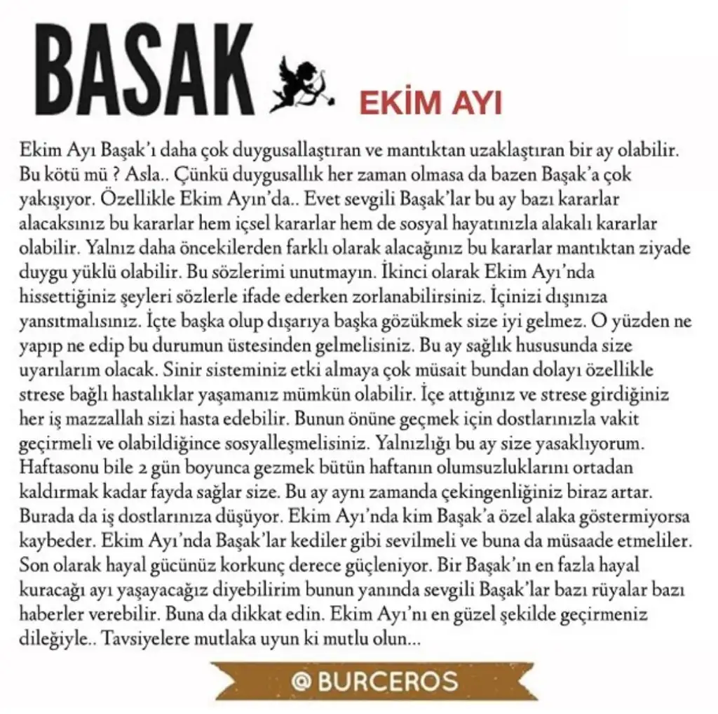 e8 (6).webp