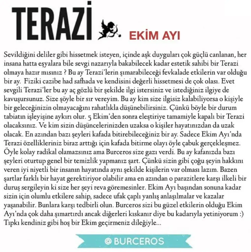 e8 (7).webp