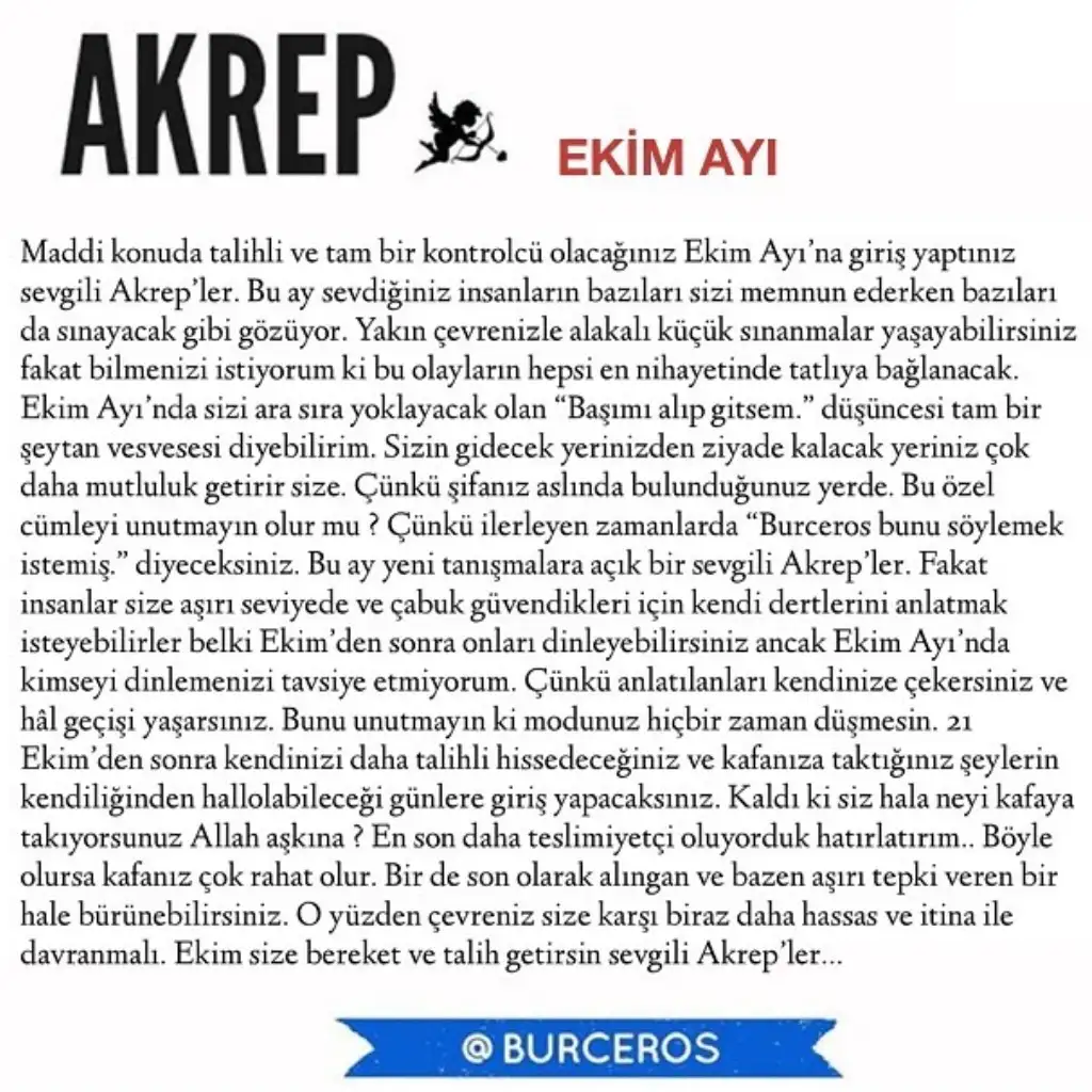 e8 (8).webp