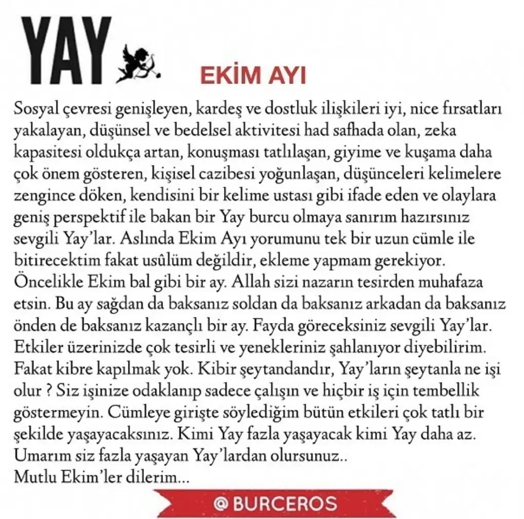 e8 (9).webp