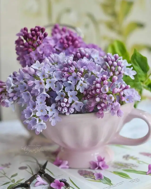 e83fd7c90fd59ca139175a7db5ba6830.webp