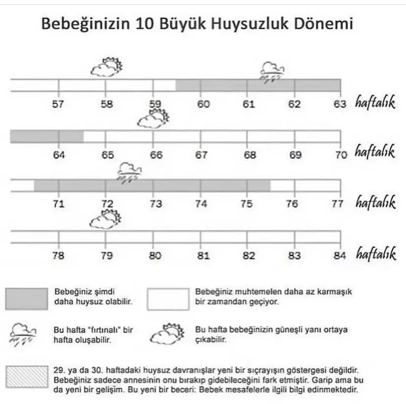 E84E68AF-E111-41C8-A5BE-7FF0B2BCC93B.webp