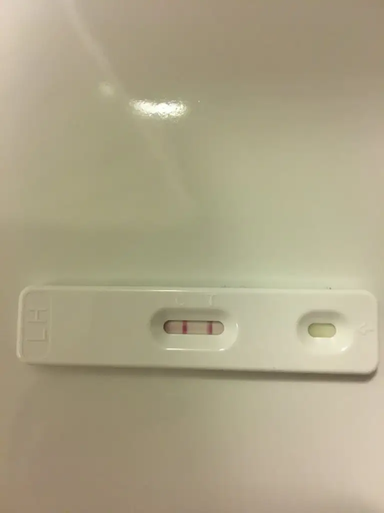 E95B9807-EB3D-4B5B-951D-5EC911C974AD.webp