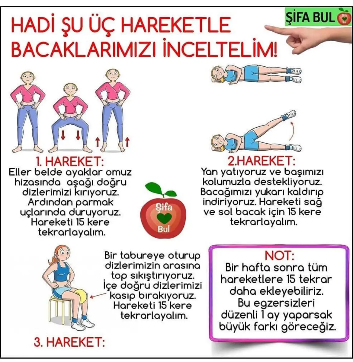 E9CB887B-CF95-4E56-9FA9-AF5D0C435A2A.webp