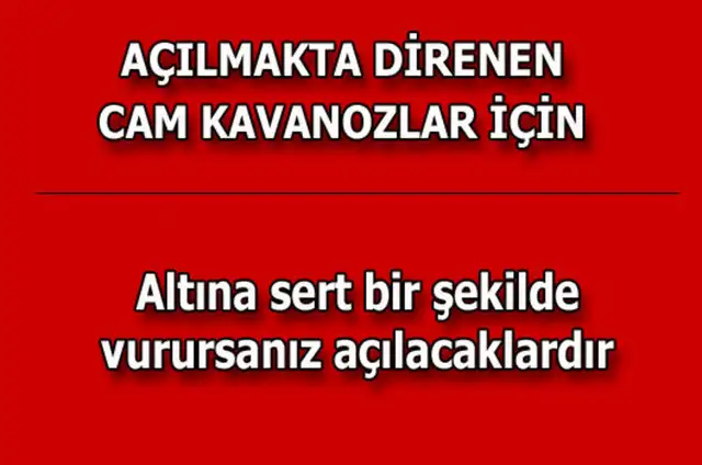 eae52cd1638f83d249faacbceb85b690_k.webp