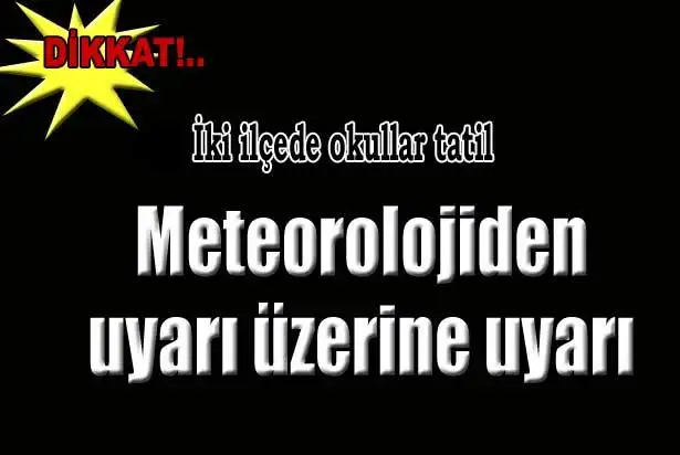 ed.webp