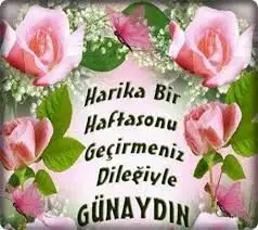 ed7b0149cdf2866a617c9ebb9c0300e8.webp