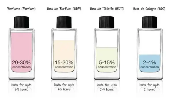 EDC-EDT-EDP-arasindaki-fark.webp