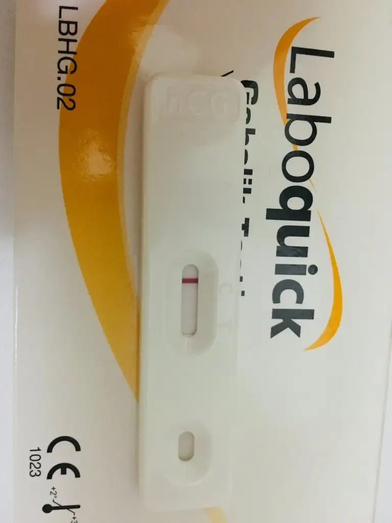 EDC68D50-97F6-4B53-9E4F-AA5BD1AB44BB.webp
