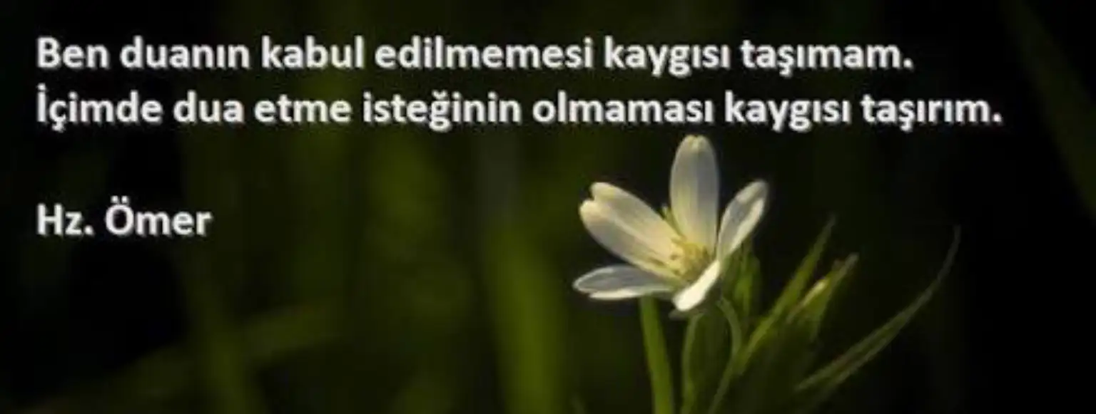 EE5AEF24-DC14-437F-AD3C-AFF0571610FA.webp
