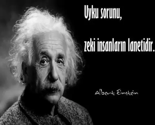 ef8adad6824f10a5cb34.webp