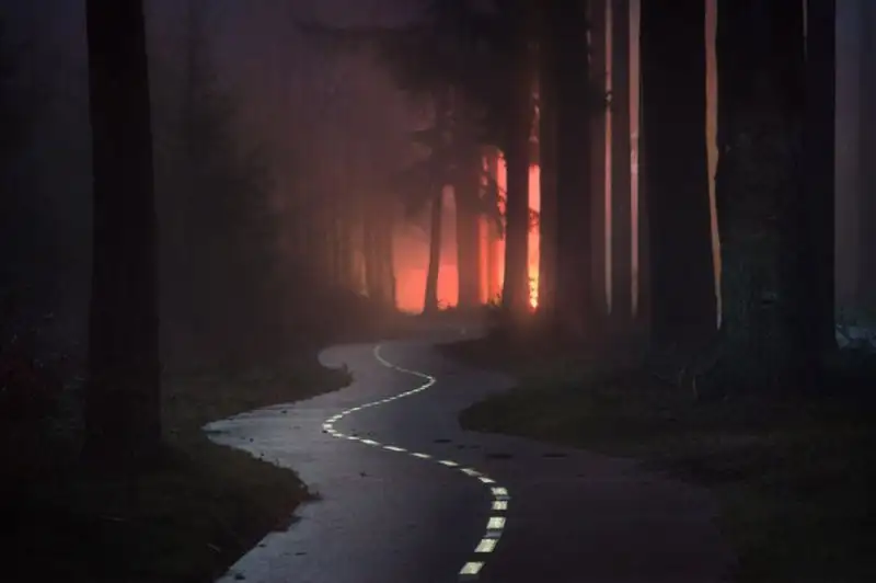 ef99c6f036d0419f865c96d5cc870c51.jpg.1000x0_q85_autocrop_crop-smart_upscale.webp