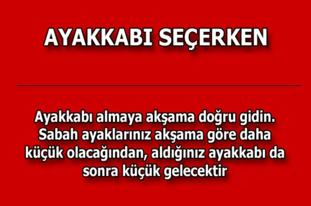 efa47b467fb39e49473c2fd07310873c_k.webp