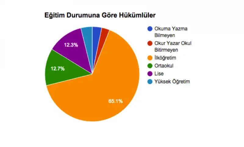 egitim.webp