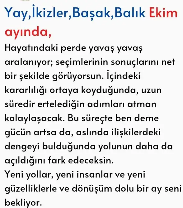 ek2 (4).webp