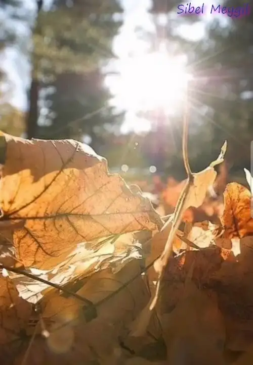 ekim aylık16 (1).webp