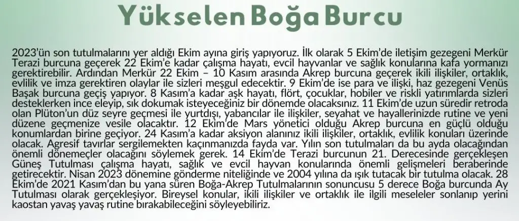ekim11 (1).webp
