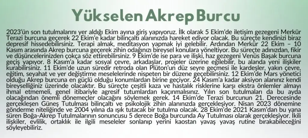 ekim11 (4).webp