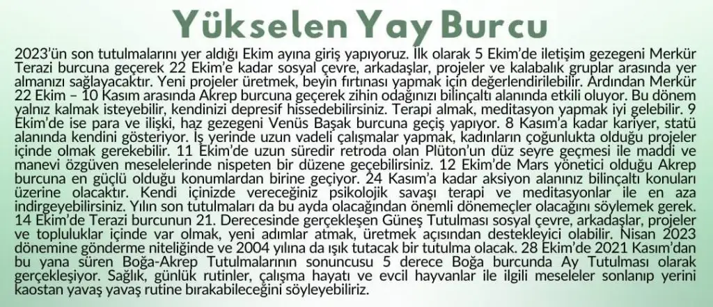 ekim11 (5) - Kopya.webp