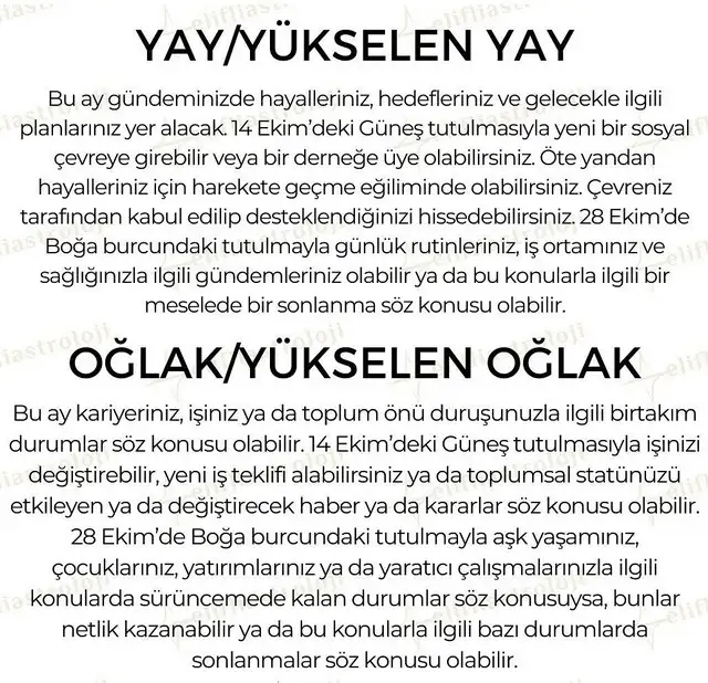 ekim5 (6).webp