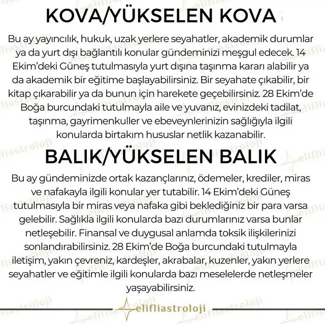ekim5 (7).webp