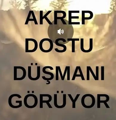 ekim7 (8).jpg