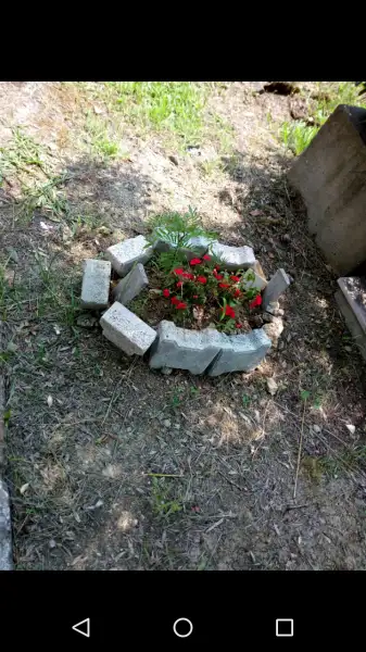Ekran görüntüleri_20180623-195055.webp