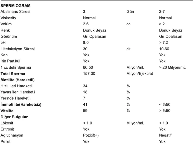 Ekran Resmi 2021-02-09 09.59.54.webp