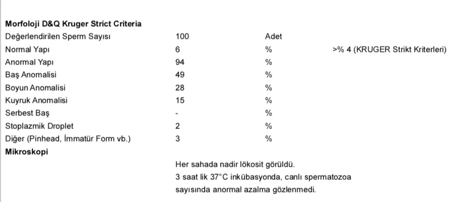 Ekran Resmi 2021-02-09 10.00.03.webp
