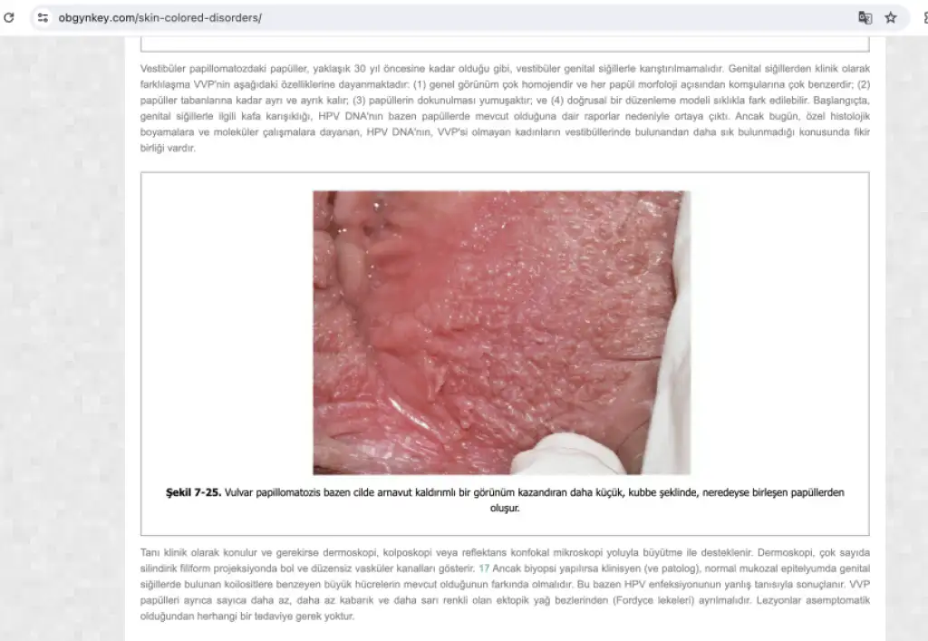 Ekran Resmi 2024-03-06 11.16.21.png