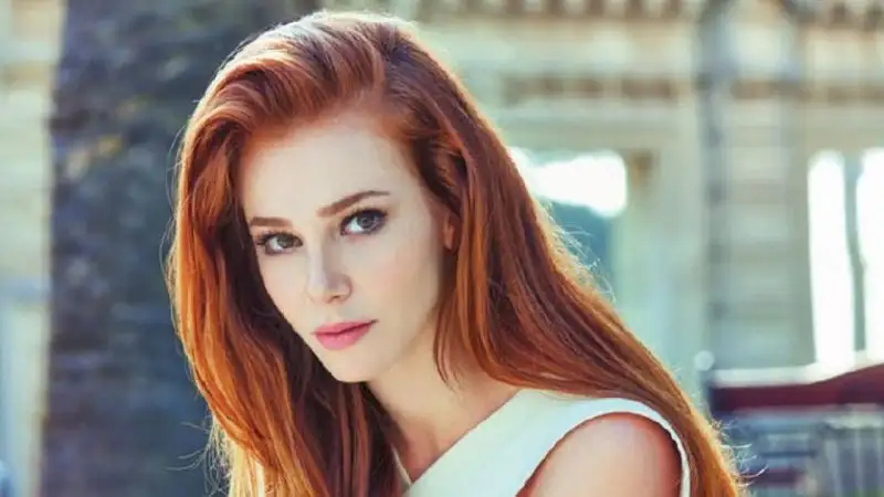 elcinsangu.webp